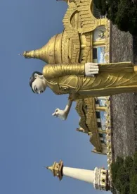 两千公里棕榈树（H）