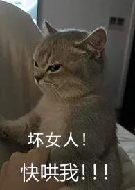就算是坏女人她也全都要（NP 百合ABO主攻）