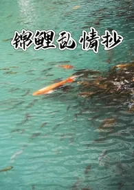 锦鲤乱情抄（NP）