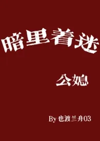 暗里着迷（公媳）