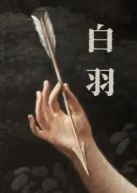 白羽（强制）