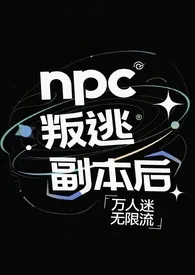 npc叛逃副本后（无限流np）