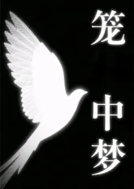 笼中梦