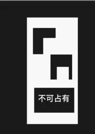 不可占有