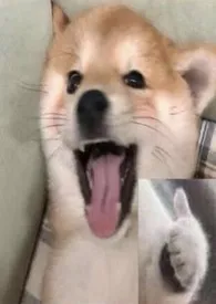 穿成虫母后绑定好孕系统