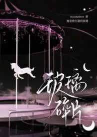 玻璃碎片（骨科）