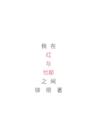 我在红与忧郁之间徘徊着np
