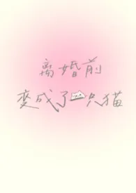 离婚前变成了一只猫（1V1）