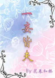 一妾皆夫