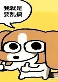 我就是要乱搞