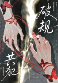 破规共犯