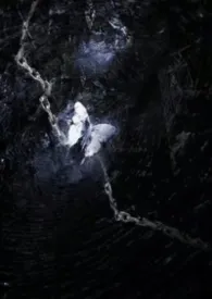 愿安（强制爱，NPH）