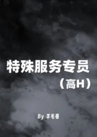 特殊服务专员 (高H)