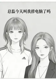 总监今天叫我修电脑了吗